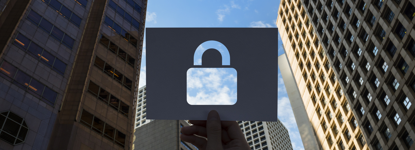 Данные о владельцах в выписке из ЕГРН перестанут быть общедоступными